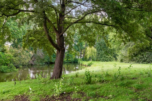 Medium property photo - Frans Halslaan 61, 2343 EB Oegstgeest